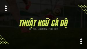 Các Thuật Ngữ Trong Cá Độ Bóng Đá